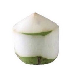 มะพร้าวน้ำหอมสด Size L