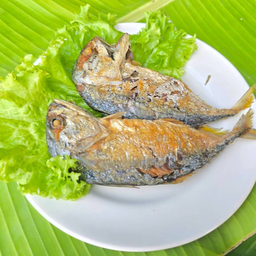 ปลาทูนึ่งทอด