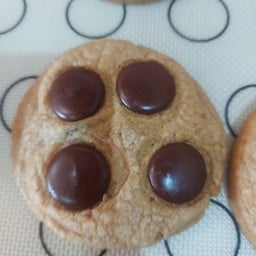 Ma Zigma  coffee  space Zigma coffee  space