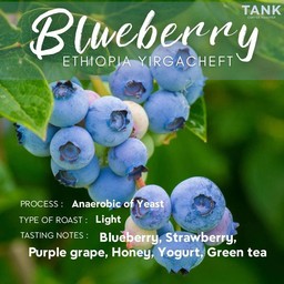 ET.Yirgacheft Blueberry - Light Roast