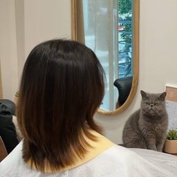 คุริน (Kurin) — ผู้ช่วยช่างสุดป่วนแห่ง No.200 Hair House 🐾 วันนี้มีผู้ช่วยพิเศษ