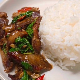 [อร่อยซ่ากับโค้ก] KD ข้าวกระเพราเป็ดย่างเผ็ดแซ่บ +  โค้ก ออริจินัล (กระป๋อง)