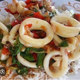 ผัดกระเพราปลาหมึกราดข้าว