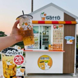 GattoCha(กัตโตะชา) เมนู 20 บาท ขออนุญาตปรับขึ้น ราคา5 บาท ค่ะ ตลาดมาดามตุ๊กติ๊ก Sena night market