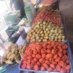 ลูกชิ้น ปลาระเบิด สาขา1