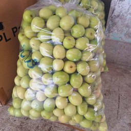 พุทรานมสด ครึ่งโล