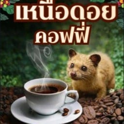 เหนือดอย coffee เจ้าเก่าในปั้มดาวนาบอล เหนือดอย coffee