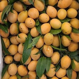 มะปรางไข่หวาน ครึ่งโล