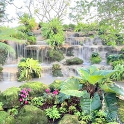 Ivy Story Café & Farm จันทบุรี