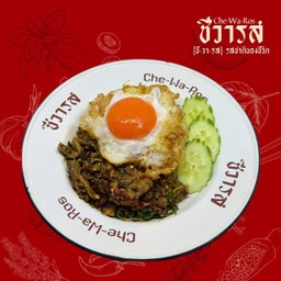 กะเพราสันคอหมู