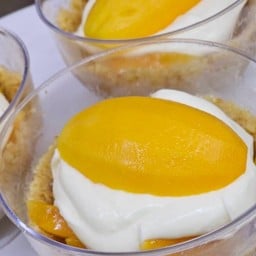 (L) Plango Plum Cheese Cup