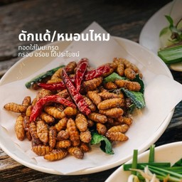 ดักแด้ทอด