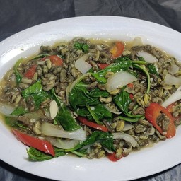 หอยกะพง  ผัดใบโหระพา