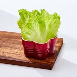 ผักกาดหอมนอก