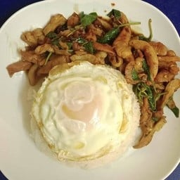 ข้าวกระเพราไก่(ราดข้าว)