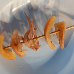 หมึกกรอบ(หม่าล่า)