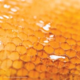 Yuzu Honey