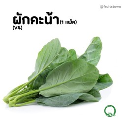 ผักคะน้า  ปลอดสาร จากฟาร์ม