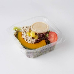 สลัดฟักทอง