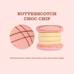 Butterscotch Choc Chip Fatcaron