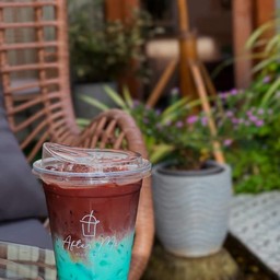 โกโก้มิ้นท์