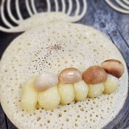 เลม่อน แมคคาเดเมีย