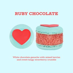 Ruby Chocolate Fatcaron