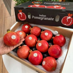 ทับทิมอินเดีย