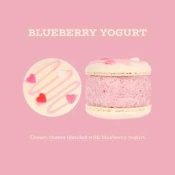 Blueberry Yogurt Fatcaron