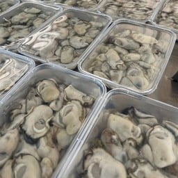 ทะเลทรายดอง สาขาตลาดนัดสนามบินเครือสหพัฒน์