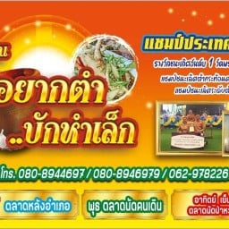 ร้านส้มตำบักหำเล็ก