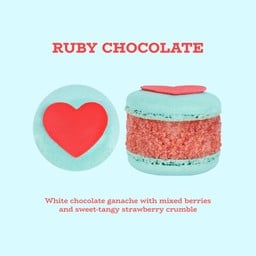 Ruby Chocolate Fatcaron