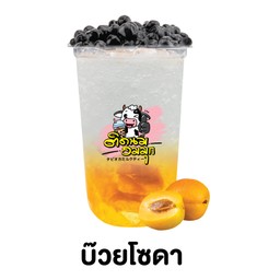 บ๊วยโซดา