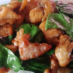 ข้าวคะน้าหมูการอบ