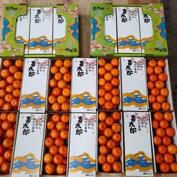 ส้มซาถังแท้ 3in1/กล่อง