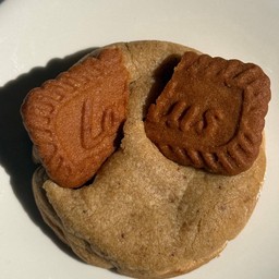 ซอฟคุ๊กกี้ บิซคอฟ