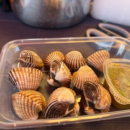 หอยแครงไซส์ใหญ่