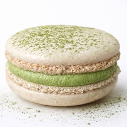 มัทฉะมะพร้าว - Coconut Matcha