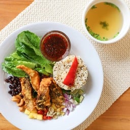 เซตปลานิลทอดลุยสวนสมุนไพร