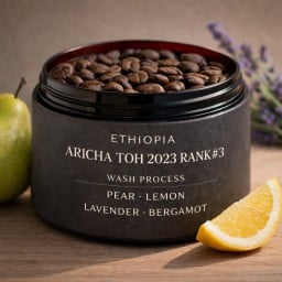 Aricha TOH#3 - Ethiopia