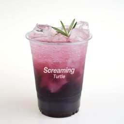 Screaming Turtle