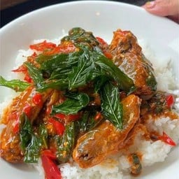 ข้าวกระเพาปลาป๋อง