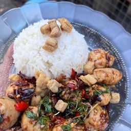 กะเพราหมูเด้งพริกแห้ง 1เดียว