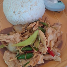 ไก่ผัดขิงราดข้าว