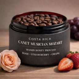 Mozart musician series - Costa rica