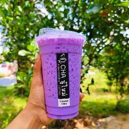 นมเผือก