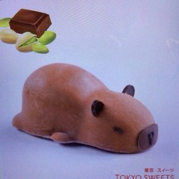 คาบีบาร์ล่า