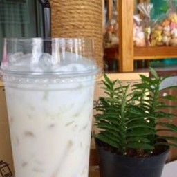 นมสดเย็น