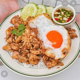 ข้าวหน้าไก่ กระเทียม+ไข่ดาว