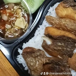 ร้าน กับข้าวกับปลา